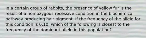 In a certain group of rabbits, the presence of yellow fur is the result of a homozygous recessive condition in the biochemical pathway producing hair pigment. If the frequency of the allele for this condition is 0.10, which of the following is closest to the frequency of the dominant allele in this population?