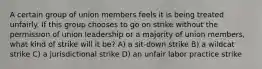 A certain group of union members feels it is being treated unfairly. If this group chooses to go on strike without the permission of union leadership or a majority of union members, what kind of strike will it be? A) a sit-down strike B) a wildcat strike C) a jurisdictional strike D) an unfair labor practice strike