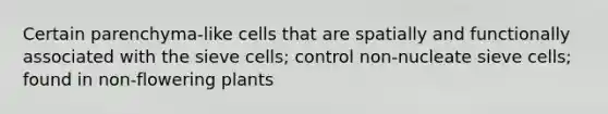 Certain parenchyma-like cells that are spatially and functionally associated with the sieve cells; control non-nucleate sieve cells; found in non-flowering plants