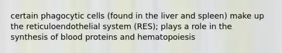 certain phagocytic cells (found in the liver and spleen) make up the reticuloendothelial system (RES); plays a role in the synthesis of blood proteins and hematopoiesis