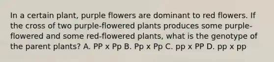 In a certain plant, purple flowers are dominant to red flowers. If the cross of two purple-flowered plants produces some purple-flowered and some red-flowered plants, what is the genotype of the parent plants? A. PP x Pp B. Pp x Pp C. pp x PP D. pp x pp