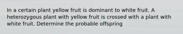 In a certain plant yellow fruit is dominant to white fruit. A heterozygous plant with yellow fruit is crossed with a plant with white fruit. Determine the probable offspring