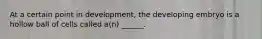 At a certain point in development, the developing embryo is a hollow ball of cells called a(n) ______.