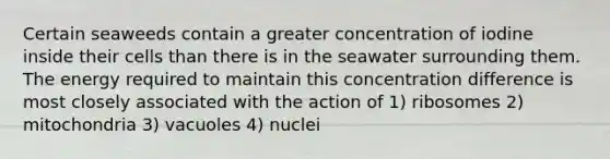 Certain seaweeds contain a greater concentration of iodine inside their cells than there is in the seawater surrounding them. The energy required to maintain this concentration difference is most closely associated with the action of 1) ribosomes 2) mitochondria 3) vacuoles 4) nuclei