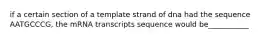 if a certain section of a template strand of dna had the sequence AATGCCCG, the mRNA transcripts sequence would be___________