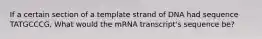 If a certain section of a template strand of DNA had sequence TATGCCCG, What would the mRNA transcript's sequence be?