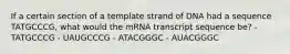 If a certain section of a template strand of DNA had a sequence TATGCCCG, what would the mRNA transcript sequence be? - TATGCCCG - UAUGCCCG - ATACGGGC - AUACGGGC