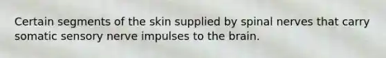 Certain segments of the skin supplied by <a href='https://www.questionai.com/knowledge/kyBL1dWgAx-spinal-nerves' class='anchor-knowledge'>spinal nerves</a> that carry somatic sensory nerve impulses to <a href='https://www.questionai.com/knowledge/kLMtJeqKp6-the-brain' class='anchor-knowledge'>the brain</a>.