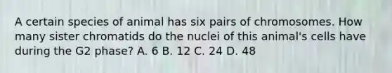 A certain species of animal has six pairs of chromosomes. How many sister chromatids do the nuclei of this animal's cells have during the G2 phase? A. 6 B. 12 C. 24 D. 48