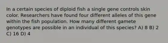 In a certain species of diploid fish a single gene controls skin color. Researchers have found four different alleles of this gene within the fish population. How many different gamete genotypes are possible in an individual of this species? A) 8 B) 2 C) 16 D) 4