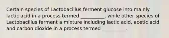 Certain species of Lactobacillus ferment glucose into mainly lactic acid in a process termed __________, while other species of Lactobacillus ferment a mixture including lactic acid, acetic acid and carbon dioxide in a process termed __________.