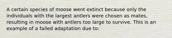 A certain species of moose went extinct because only the individuals with the largest antlers were chosen as mates, resulting in moose with antlers too large to survive. This is an example of a failed adaptation due to: