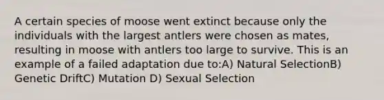 A certain species of moose went extinct because only the individuals with the largest antlers were chosen as mates, resulting in moose with antlers too large to survive. This is an example of a failed adaptation due to:A) Natural SelectionB) Genetic DriftC) Mutation D) Sexual Selection