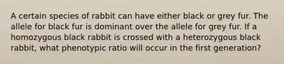 A certain species of rabbit can have either black or grey fur. The allele for black fur is dominant over the allele for grey fur. If a homozygous black rabbit is crossed with a heterozygous black rabbit, what phenotypic ratio will occur in the first generation?