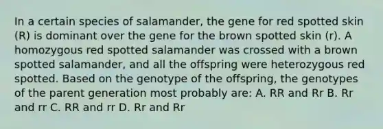 In a certain species of salamander, the gene for red spotted skin (R) is dominant over the gene for the brown spotted skin (r). A homozygous red spotted salamander was crossed with a brown spotted salamander, and all the offspring were heterozygous red spotted. Based on the genotype of the offspring, the genotypes of the parent generation most probably are: A. RR and Rr B. Rr and rr C. RR and rr D. Rr and Rr