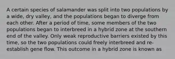 A certain species of salamander was split into two populations by a wide, dry valley, and the populations began to diverge from each other. After a period of time, some members of the two populations began to interbreed in a hybrid zone at the southern end of the valley. Only weak reproductive barriers existed by this time, so the two populations could freely interbreed and re-establish gene flow. This outcome in a hybrid zone is known as