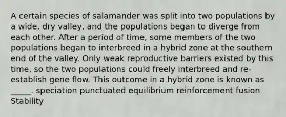 A certain species of salamander was split into two populations by a wide, dry valley, and the populations began to diverge from each other. After a period of time, some members of the two populations began to interbreed in a hybrid zone at the southern end of the valley. Only weak reproductive barriers existed by this time, so the two populations could freely interbreed and re-establish gene flow. This outcome in a hybrid zone is known as _____. speciation punctuated equilibrium reinforcement fusion Stability