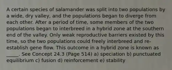 A certain species of salamander was split into two populations by a wide, dry valley, and the populations began to diverge from each other. After a period of time, some members of the two populations began to interbreed in a hybrid zone at the southern end of the valley. Only weak reproductive barriers existed by this time, so the two populations could freely interbreed and re-establish gene flow. This outcome in a hybrid zone is known as _____. See Concept 24.3 (Page 514) a) speciation b) punctuated equilibrium c) fusion d) reinforcement e) stability