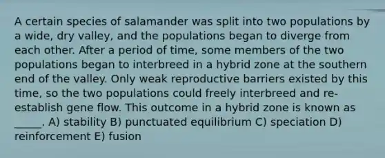 A certain species of salamander was split into two populations by a wide, dry valley, and the populations began to diverge from each other. After a period of time, some members of the two populations began to interbreed in a hybrid zone at the southern end of the valley. Only weak reproductive barriers existed by this time, so the two populations could freely interbreed and re-establish gene flow. This outcome in a hybrid zone is known as _____. A) stability B) punctuated equilibrium C) speciation D) reinforcement E) fusion