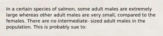 In a certain species of salmon, some adult males are extremely large whereas other adult males are very small, compared to the females. There are no intermediate- sized adult males in the population. This is probably sue to: