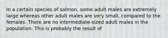 In a certain species of salmon, some adult males are extremely large whereas other adult males are very small, compared to the females. There are no intermediate-sized adult males in the population. This is probably the result of