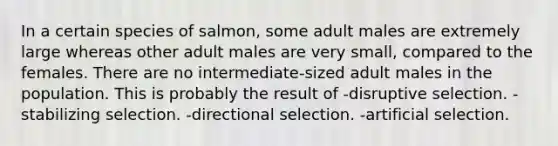 In a certain species of salmon, some adult males are extremely large whereas other adult males are very small, compared to the females. There are no intermediate-sized adult males in the population. This is probably the result of -disruptive selection. -stabilizing selection. -directional selection. -artificial selection.