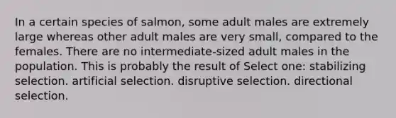 In a certain species of salmon, some adult males are extremely large whereas other adult males are very small, compared to the females. There are no intermediate-sized adult males in the population. This is probably the result of Select one: stabilizing selection. artificial selection. disruptive selection. directional selection.