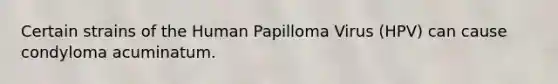 Certain strains of the Human Papilloma Virus (HPV) can cause condyloma acuminatum.