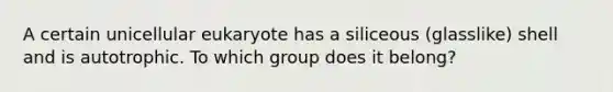 A certain unicellular eukaryote has a siliceous (glasslike) shell and is autotrophic. To which group does it belong?