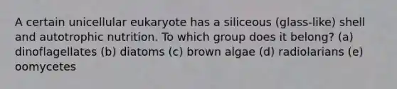 A certain unicellular eukaryote has a siliceous (glass-like) shell and autotrophic nutrition. To which group does it belong? (a) dinoflagellates (b) diatoms (c) brown algae (d) radiolarians (e) oomycetes