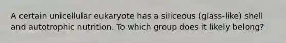 A certain unicellular eukaryote has a siliceous (glass-like) shell and autotrophic nutrition. To which group does it likely belong?