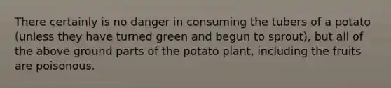 There certainly is no danger in consuming the tubers of a potato (unless they have turned green and begun to sprout), but all of the above ground parts of the potato plant, including the fruits are poisonous.