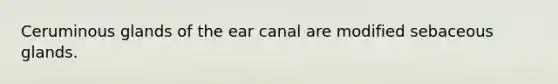 Ceruminous glands of the ear canal are modified sebaceous glands.