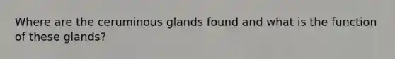 Where are the ceruminous glands found and what is the function of these glands?