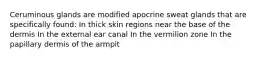 Ceruminous glands are modified apocrine sweat glands that are specifically found: In thick skin regions near the base of the dermis In the external ear canal In the vermilion zone In the papillary dermis of the armpit