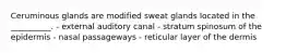 Ceruminous glands are modified sweat glands located in the __________. - external auditory canal - stratum spinosum of the epidermis - nasal passageways - reticular layer of the dermis