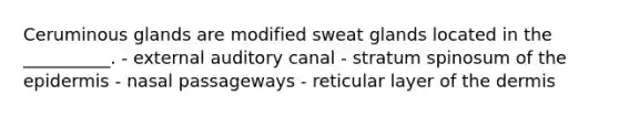 Ceruminous glands are modified sweat glands located in the __________. - external auditory canal - stratum spinosum of the epidermis - nasal passageways - reticular layer of the dermis