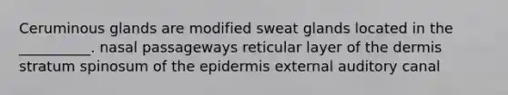 Ceruminous glands are modified sweat glands located in the __________. nasal passageways reticular layer of <a href='https://www.questionai.com/knowledge/kEsXbG6AwS-the-dermis' class='anchor-knowledge'>the dermis</a> stratum spinosum of <a href='https://www.questionai.com/knowledge/kBFgQMpq6s-the-epidermis' class='anchor-knowledge'>the epidermis</a> external auditory canal