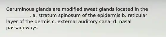 Ceruminous glands are modified sweat glands located in the __________. a. stratum spinosum of the epidermis b. reticular layer of the dermis c. external auditory canal d. nasal passageways