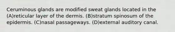 Ceruminous glands are modified sweat glands located in the (A)reticular layer of the dermis. (B)stratum spinosum of the epidermis. (C)nasal passageways. (D)external auditory canal.
