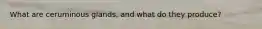 What are ceruminous glands, and what do they produce?