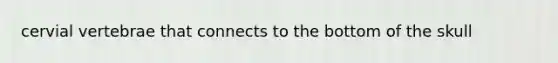 cervial vertebrae that connects to the bottom of the skull