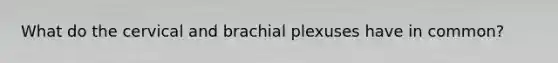 What do the cervical and brachial plexuses have in common?