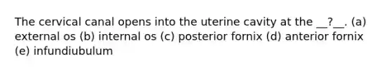 The cervical canal opens into the uterine cavity at the __?__. (a) external os (b) internal os (c) posterior fornix (d) anterior fornix (e) infundiubulum