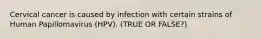 Cervical cancer is caused by infection with certain strains of Human Papillomavirus (HPV). (TRUE OR FALSE?)