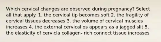 Which cervical changes are observed during pregnancy? Select all that apply. 1. the cervical tip becomes soft 2. the fragility of cervical tissues decreases 3. the volume of cervical muscles increases 4. the external cervical os appears as a jagged slit 5. the elasticity of cervicla collagen- rich connect tissue increases