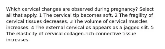 Which cervical changes are observed during pregnancy? Select all that apply. 1 The cervical tip becomes soft. 2 The fragility of cervical tissues decreases. 3 The volume of cervical muscles increases. 4 The external cervical os appears as a jagged slit. 5 The elasticity of cervical collagen-rich <a href='https://www.questionai.com/knowledge/kYDr0DHyc8-connective-tissue' class='anchor-knowledge'>connective tissue</a> increases.