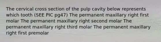 The cervical cross section of the pulp cavity below represents which tooth (SEE PIC pg47) The permanent maxillary right first molar The permanent maxillary right second molar The permanent maxillary right third molar The permanent maxillary right first premolar