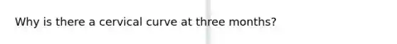 Why is there a cervical curve at three months?