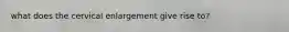 what does the cervical enlargement give rise to?